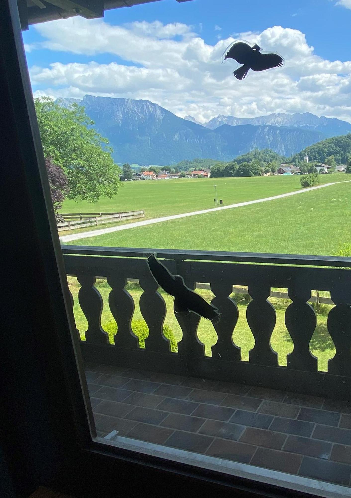 Ferienwohnung Kaiserpanorama - Alpenmagie Suites Όμπερντορφ Εξωτερικό φωτογραφία